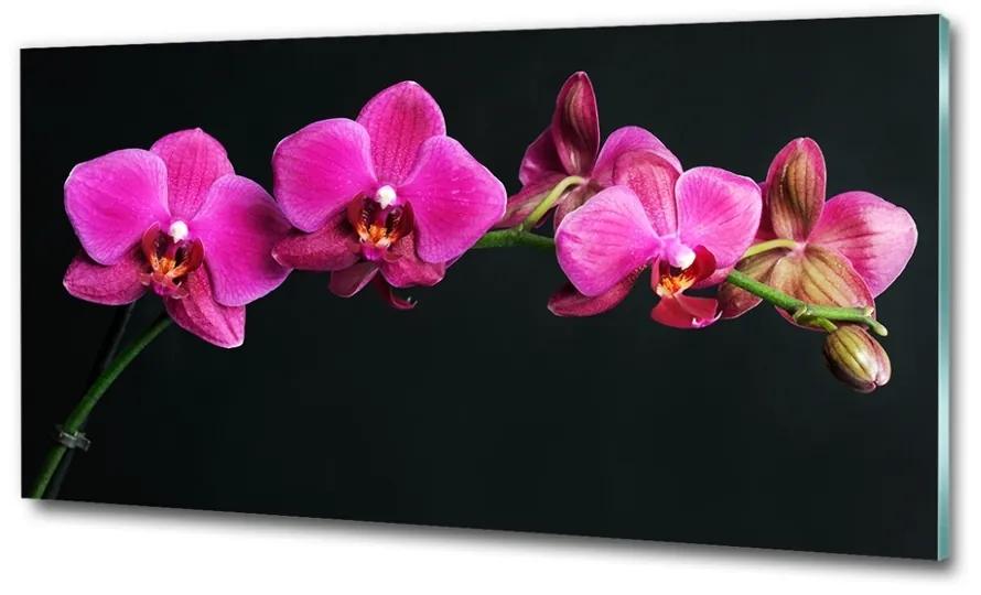 Fotoobraz na skle orchidea osh-64284743