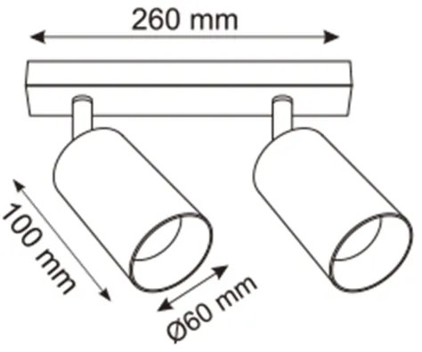 Zuma Line 2211BD-2-BK - Bodové svietidlo REN 2xGU10/50W/230V čierna/šedá