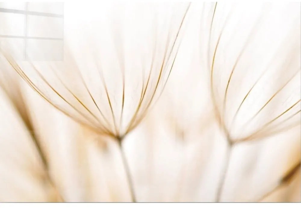 Sklenený obraz 100x70 cm Fluff - Wallity