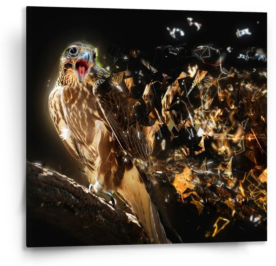 Sablio Obraz Dravec - 110x110 cm