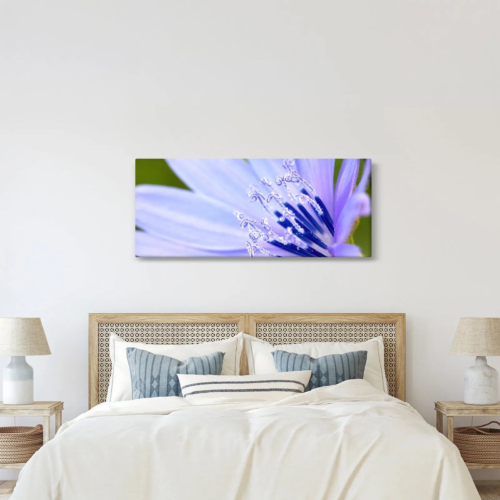 Obraz - kvet (120x50 cm)