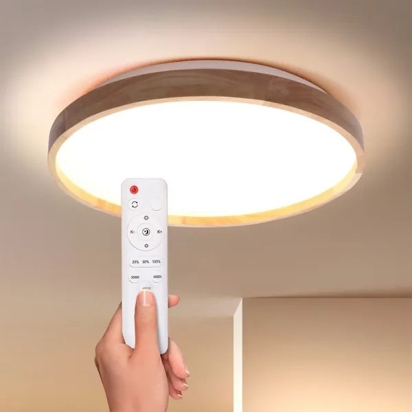 Brilagi - LED Stmievateľné stropné svietidlo ALSON LED/48W/230V 3000-6500K + DO