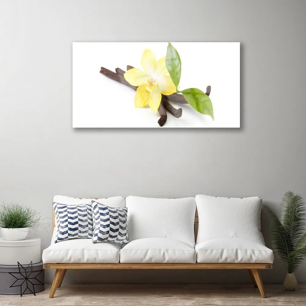 Skleneny obraz Vanilka listy rastlina 100x50 cm