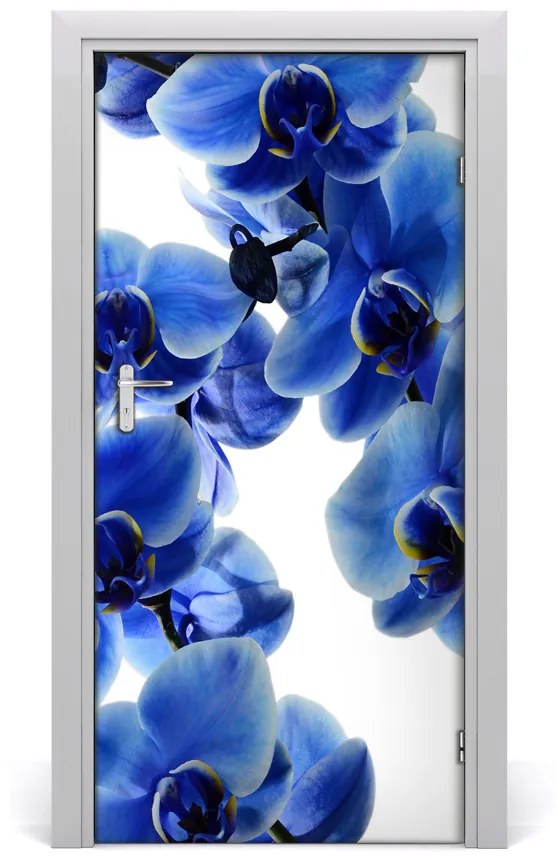 Fototapeta na dvere kvet orchidey 85x205 cm