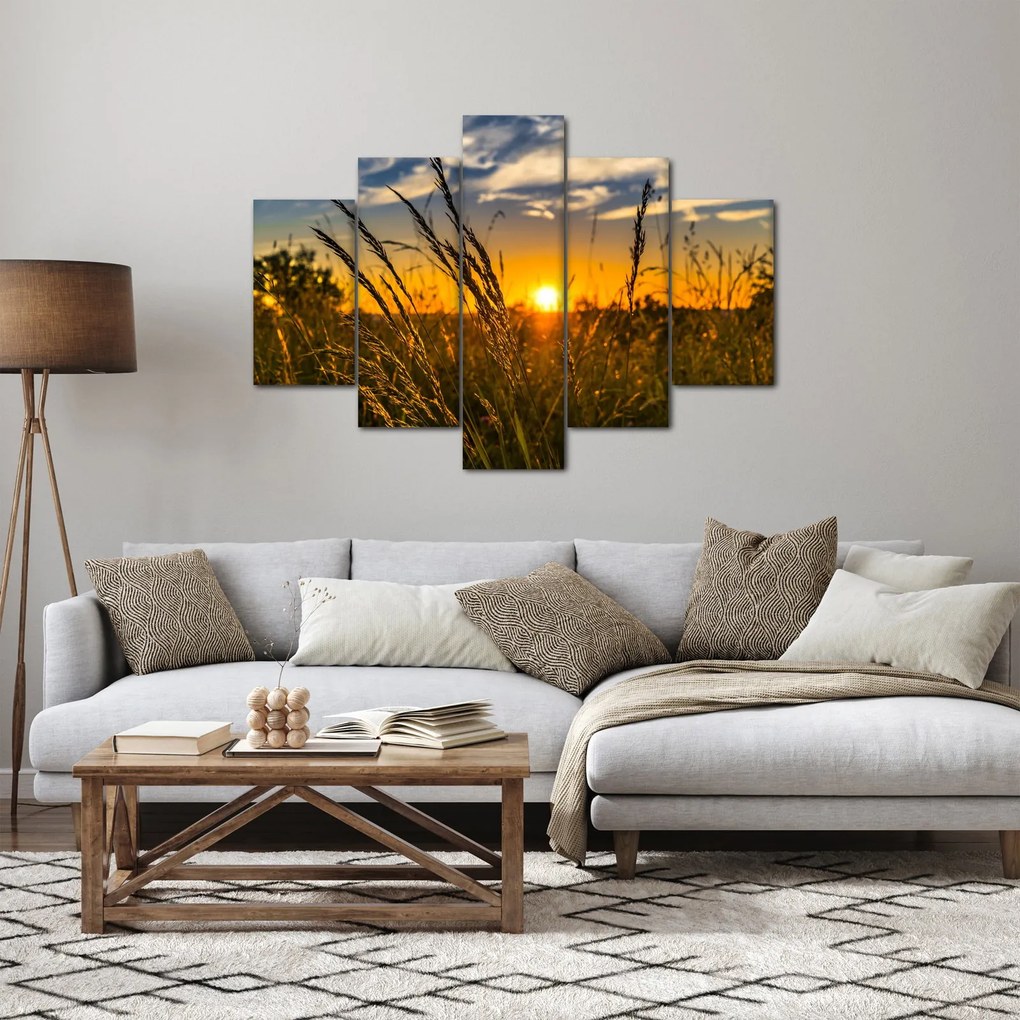 Obraz pole pri západe slnka (150x105 cm)