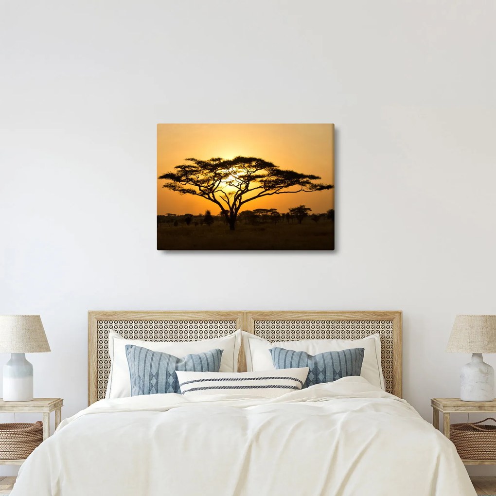 Obraz - Africká savana (70x50 cm)