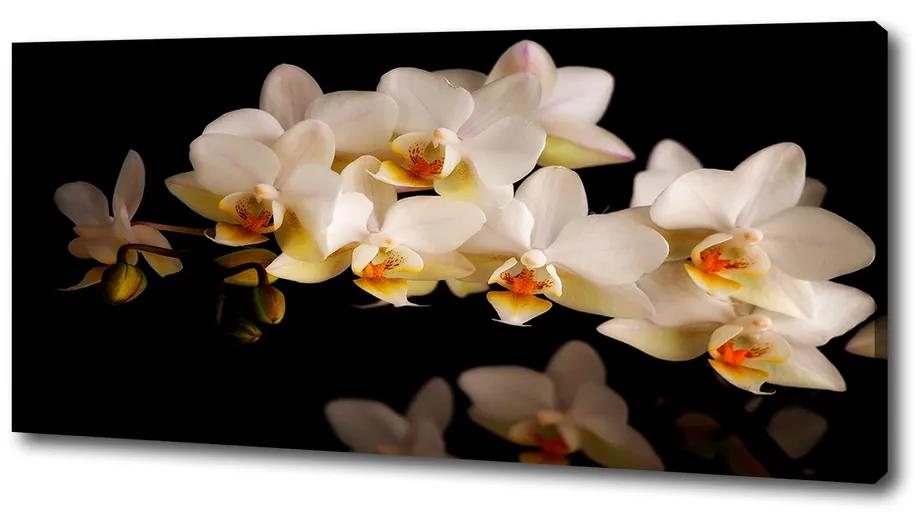 Foto obraz na plátne Orchidea pl-oc-125x50-f-95410450