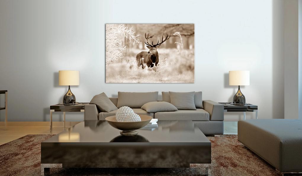 Artgeist Obraz - Deer in Sepia Veľkosť: 60x40, Verzia: Premium Print