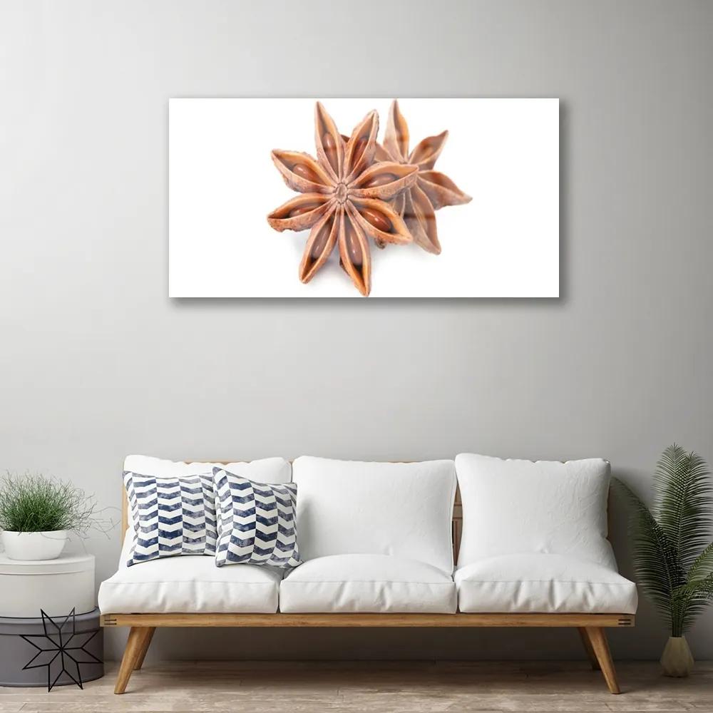 Skleneny obraz Aníz hviezda príprava 120x60 cm