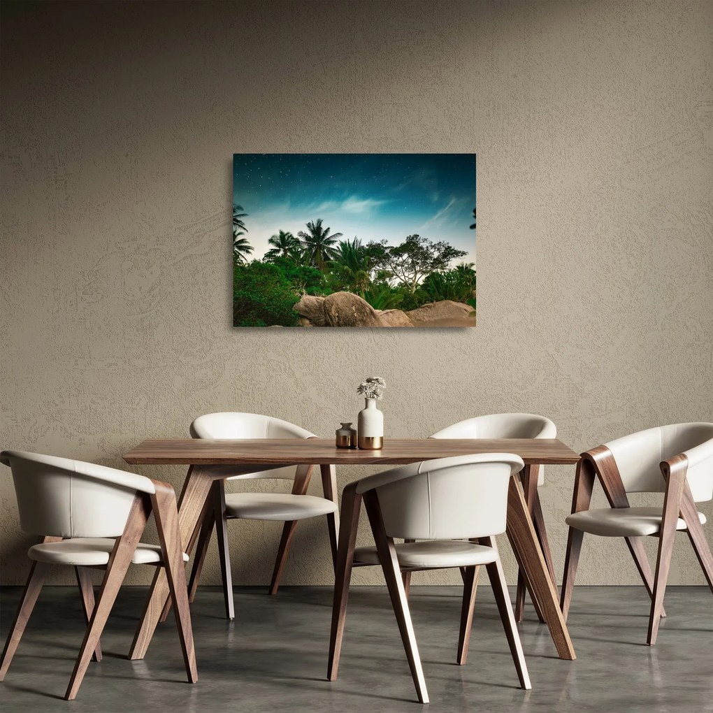 Sklenený obraz - palmy (70x50 cm)