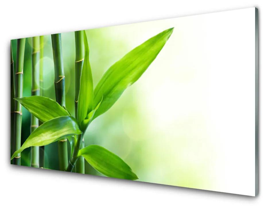 Skleneny obraz Bambus list rastlina príroda 100x50cm