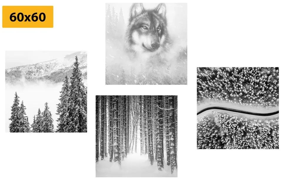 Set obrazov vlk v tajomnom lese v čiernobielom prevedení Varianta: 4x 40x40