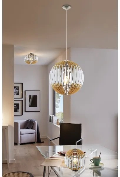 Eglo 32844 - Stropné svietidlo OLMERO 1 1xE27/60W/230V