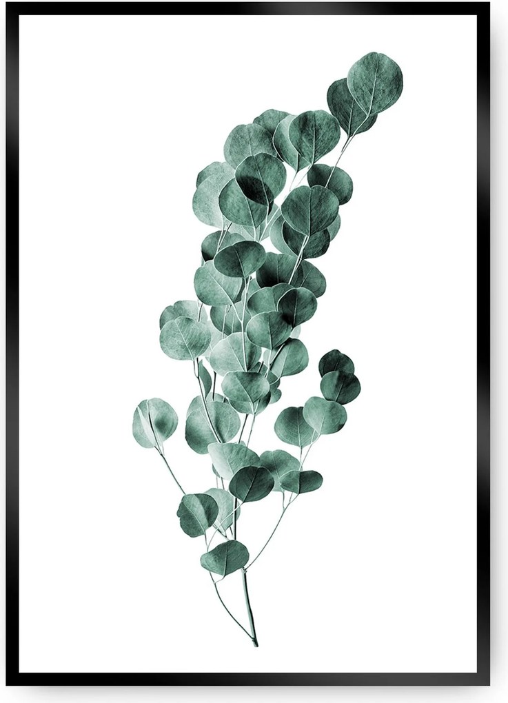 Plagát Eucalyptus Emerald Green
