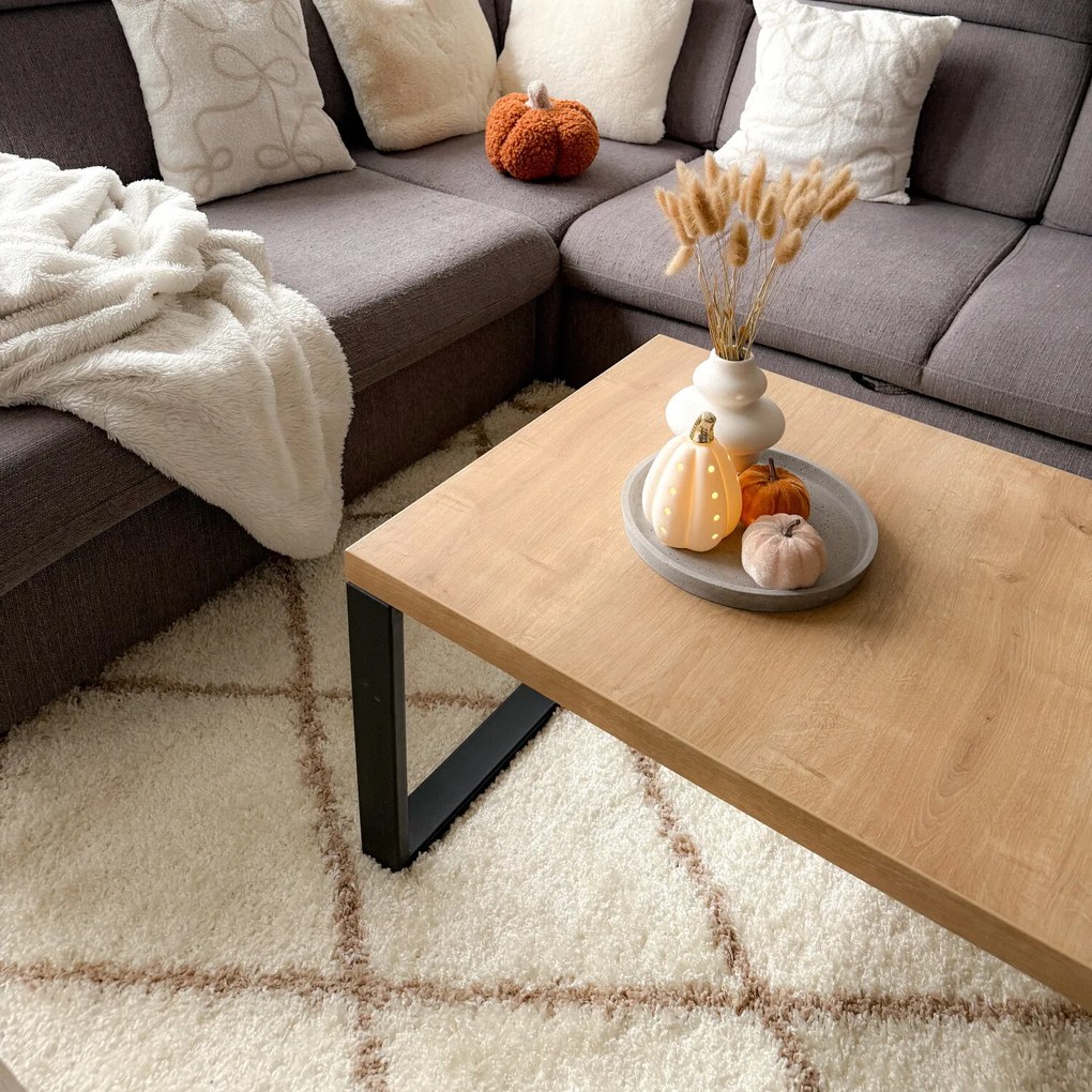 Kusový koberec Alvor Shaggy 3401 cream, 80x250, biela, obývacia izba, Ayyildiz