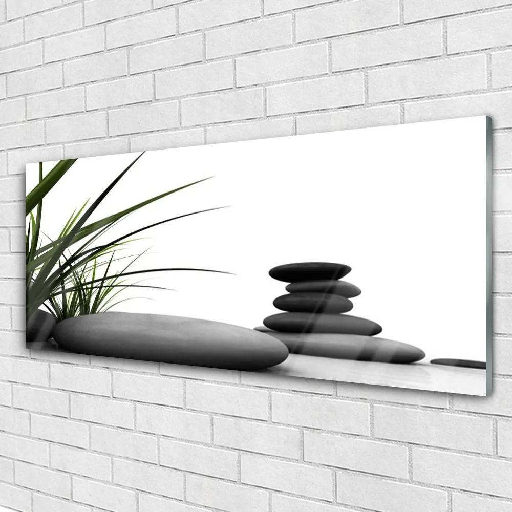 Obraz plexi Kamene zen tráva 125x50 cm