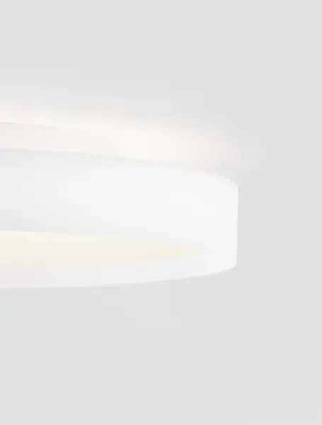 LED stmievateľné biele moderné stropné svietidlo Roi 50