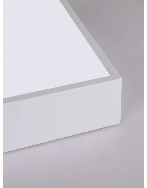 Immax NEO 07238L - LED Stmievateľné stropné svietidlo CANTO 22W/230V biela Tuya +DO