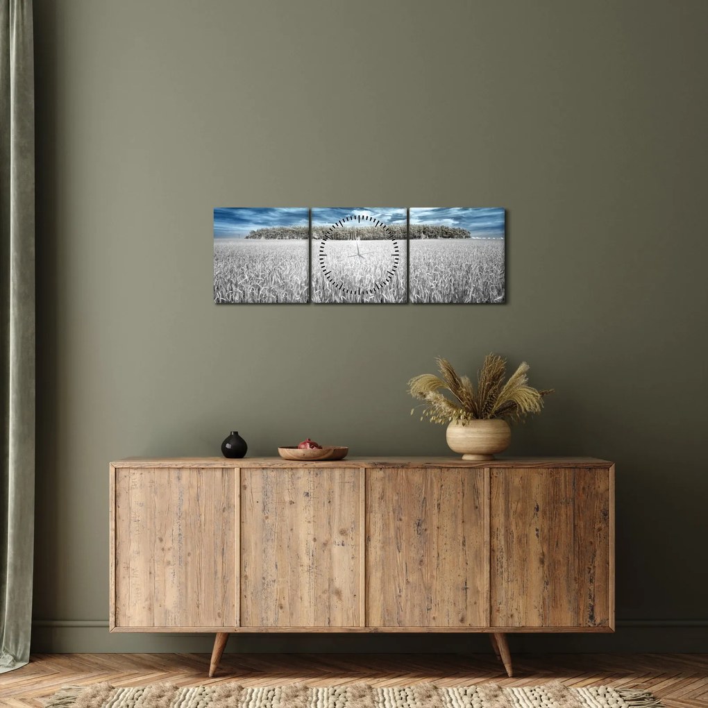 Obraz pole (s hodinami) (90x30 cm)