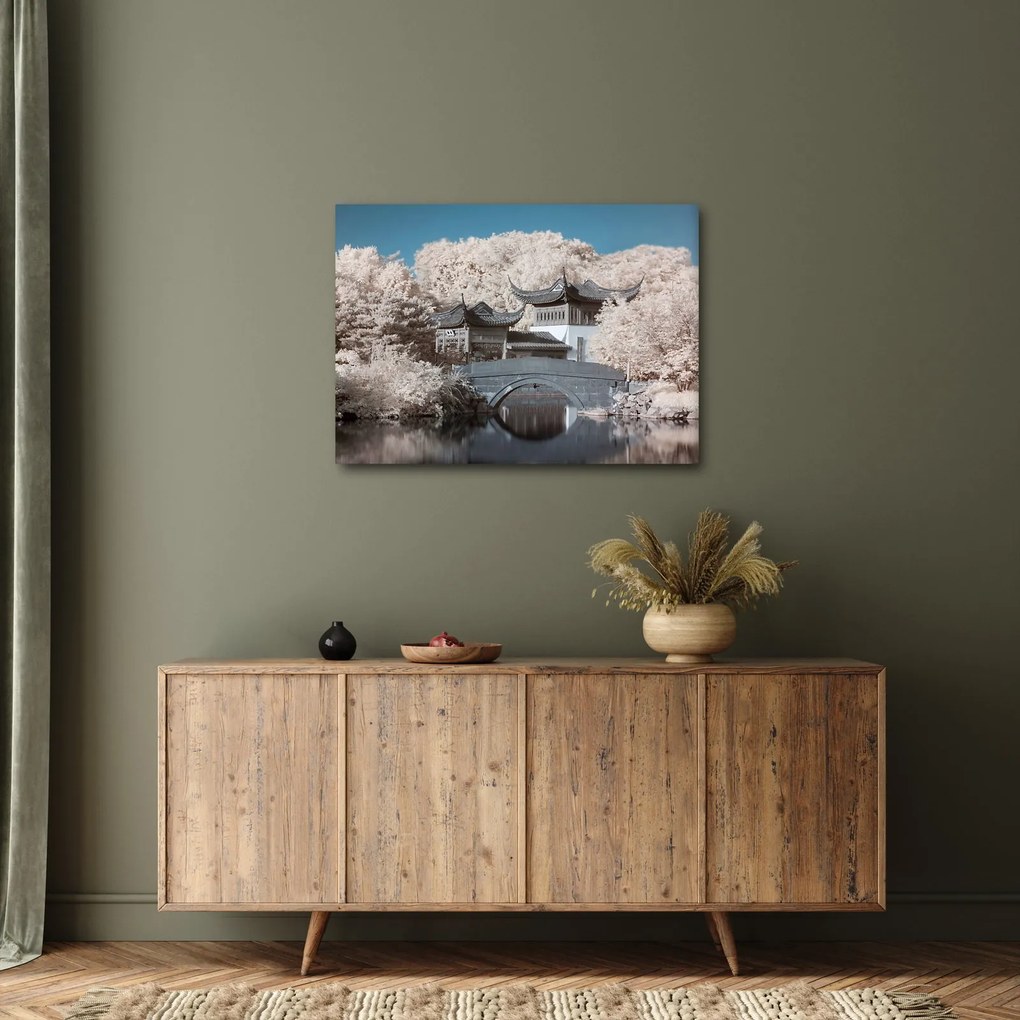 Obraz - Rozkvitnuté stromy v Ázii (70x50 cm)
