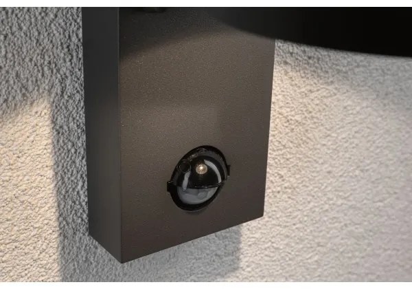 Paulmann 94453 - LED/6W IP44 Vonkajšie nástenné svietidlo so senzorom CAPEA 230V