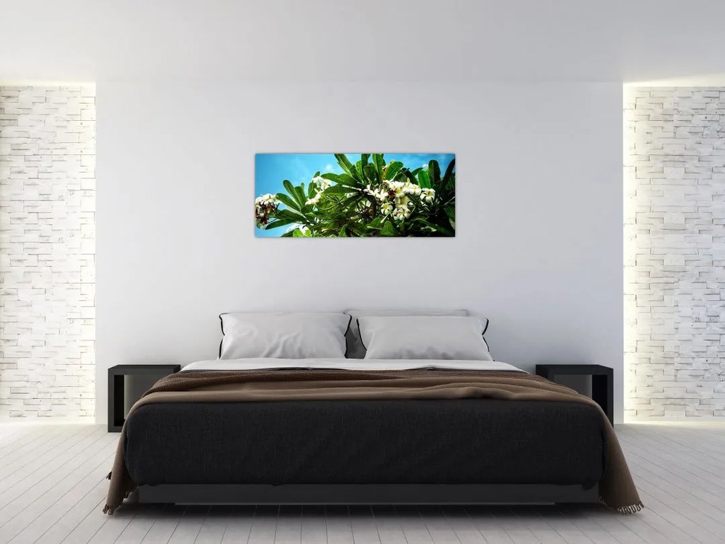 Obraz - Plumeria (120x50 cm)