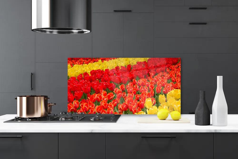 Nástenný panel  Tulipány kvety 140x70 cm