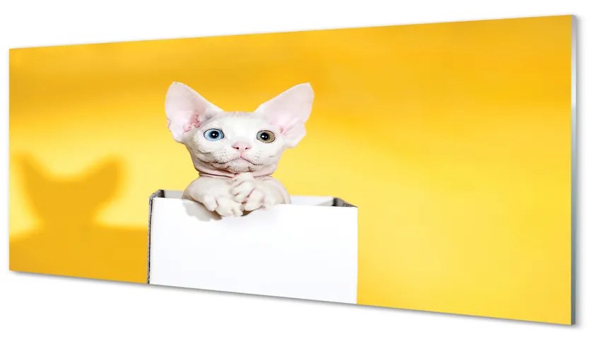 Obraz na akrylátovom skle Sediaci mačka 120x60 cm