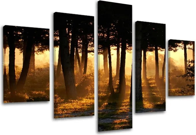 Obraz na stenu STROMY