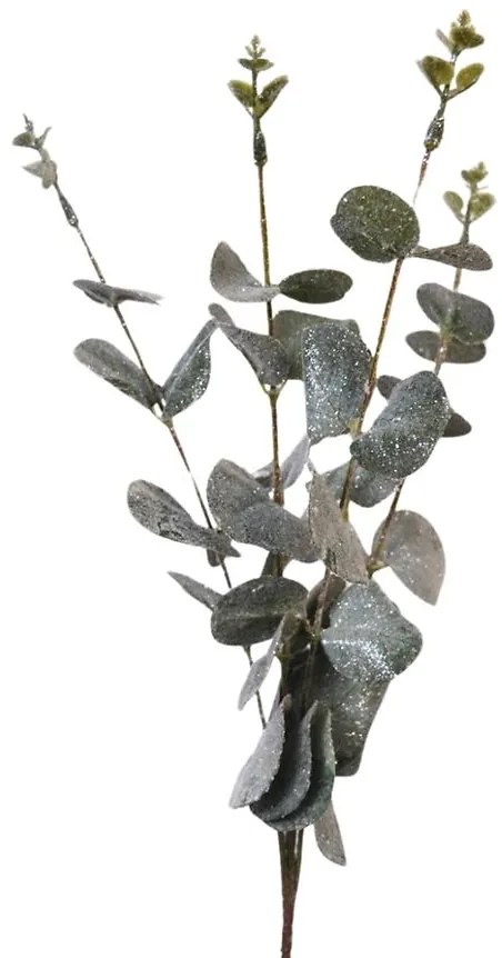 Eukaliptus 59cm A2040019