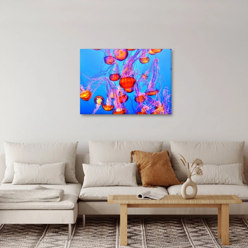 Obraz medúz v mori (70x50 cm)