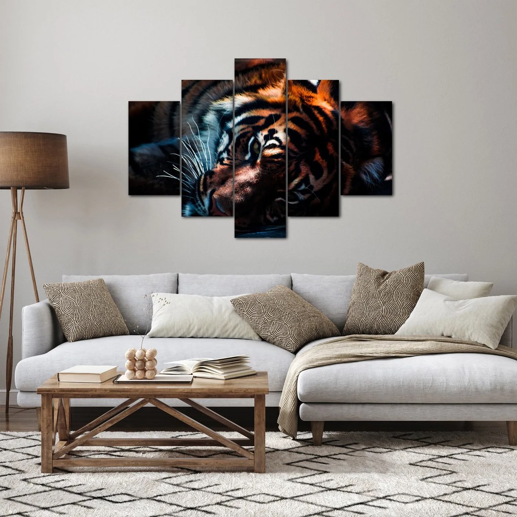 Obraz ležiaceho tigra (150x105 cm)