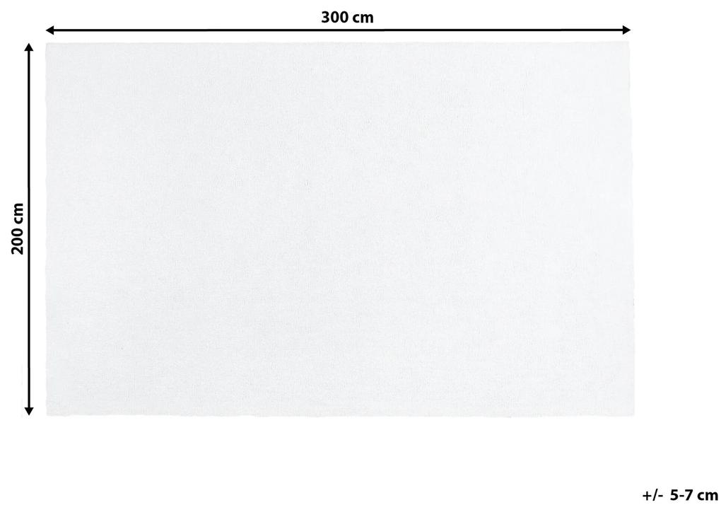 Koberec 200 x 300 cm biely DEMRE Beliani