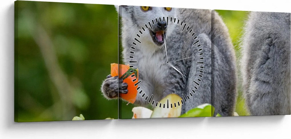 Obraz lemura (s hodinami) (90x30 cm)