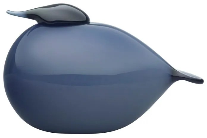 Vtáčik Toikka Kuulas, modrý rain