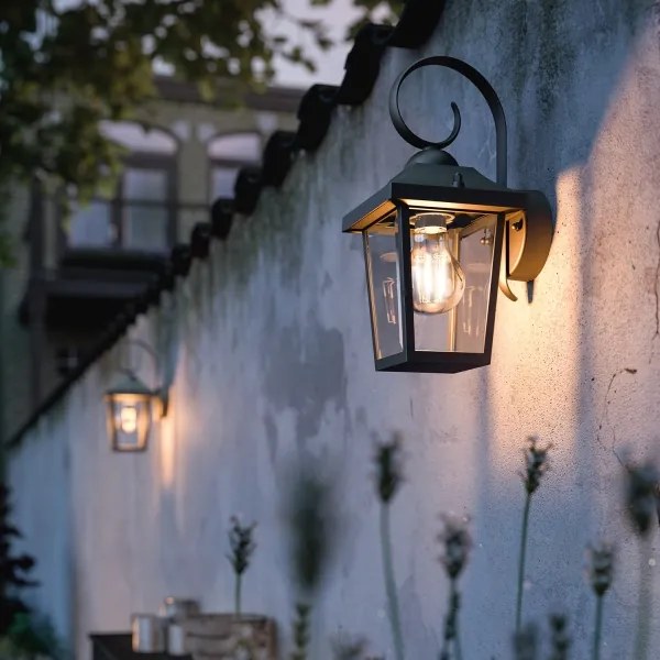 Philips 17236/30/PN - Vonkajšie svietidlo MYGARDEN BUZZARD 1xE27/60W/230V IP44