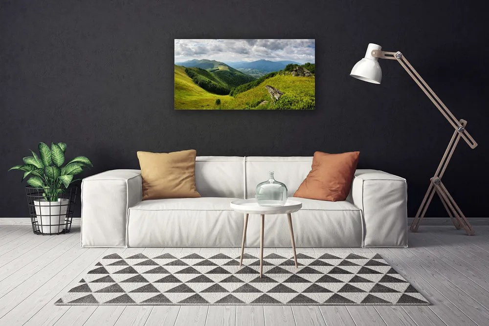 Obraz na plátne Hora lúka krajina 125x50 cm