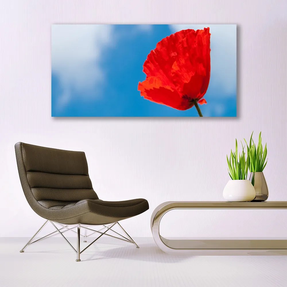 Obraz na akrylátovom skle Tulipán 120x60 cm