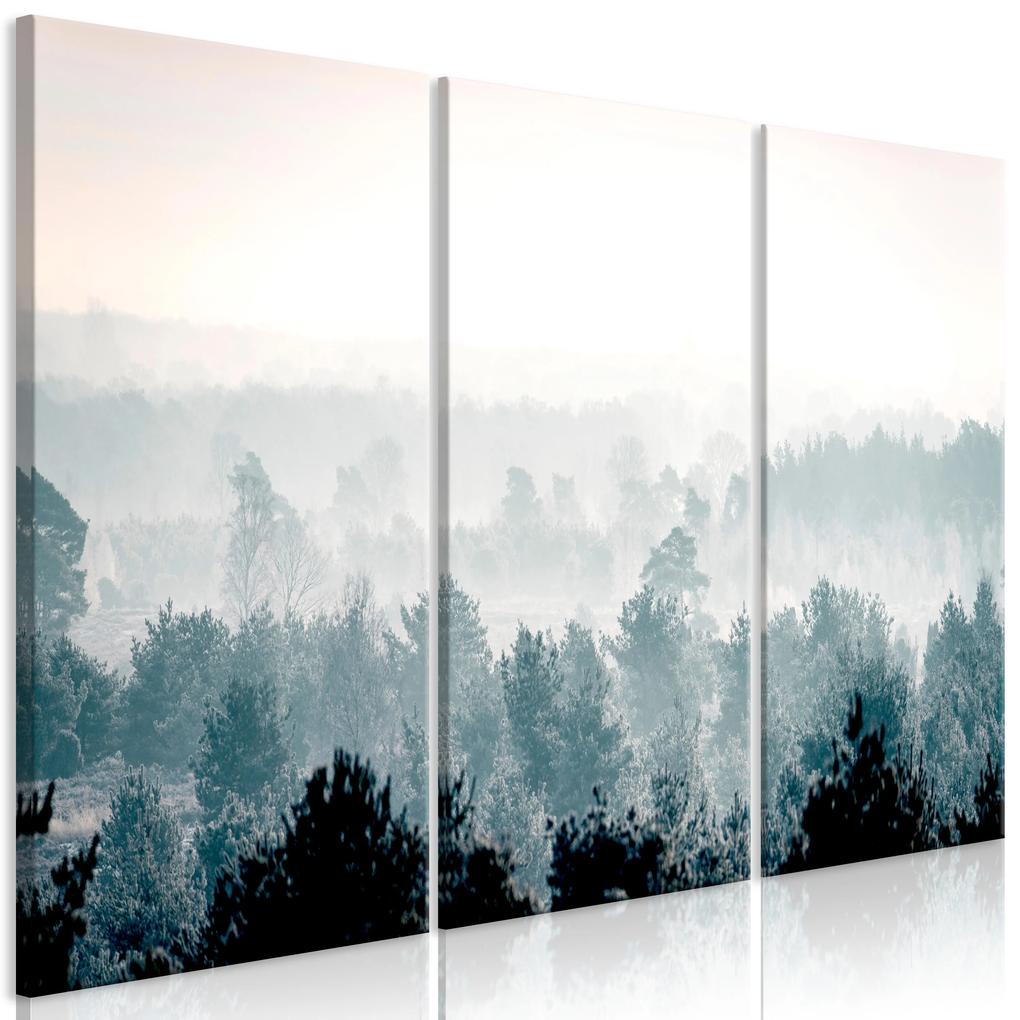 Artgeist Obraz - Winter Forest (3 Parts) Veľkosť: 90x60, Verzia: Na talianskom plátne