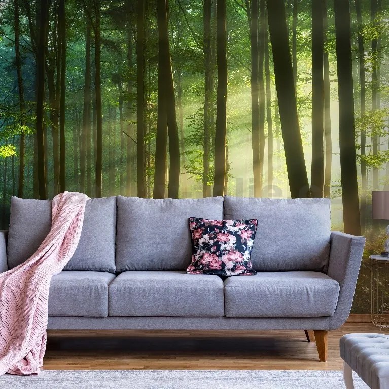 Vliesové fototapety 14578V8, rozmer 368 cm x 254 cm, svitanie v lese, IMPOL TRADE