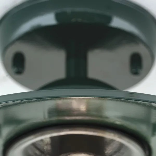 Orion AL 11-1317 - Vonkajší prisadený luster EDWARD 1xE27/60W/230V IP44 zelená