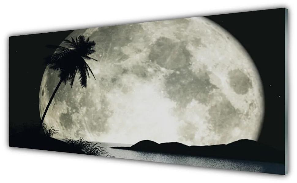 Obraz na akrylátovom skle Noc mesiac palma krajina 125x50 cm
