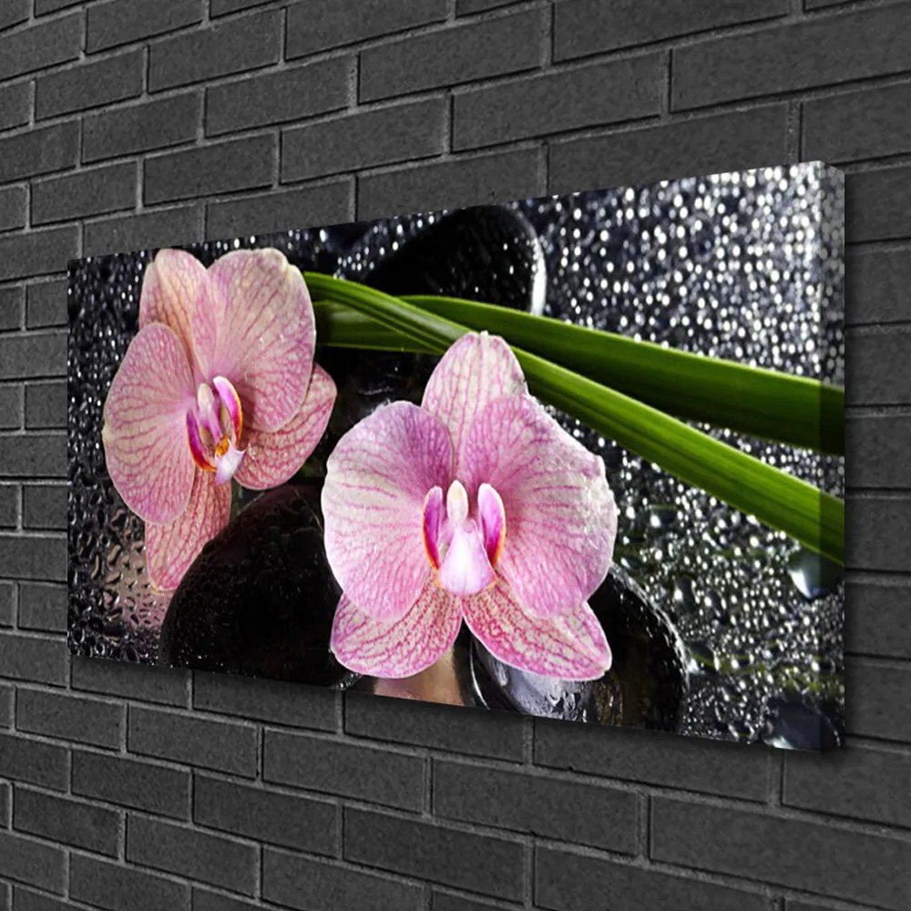 Obraz Canvas Kvety orchidea kamene zen 120x60 cm