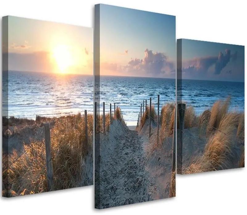 Gario Obraz na plátne Duny pri mori - 3 dielny Rozmery: 60 x 40 cm