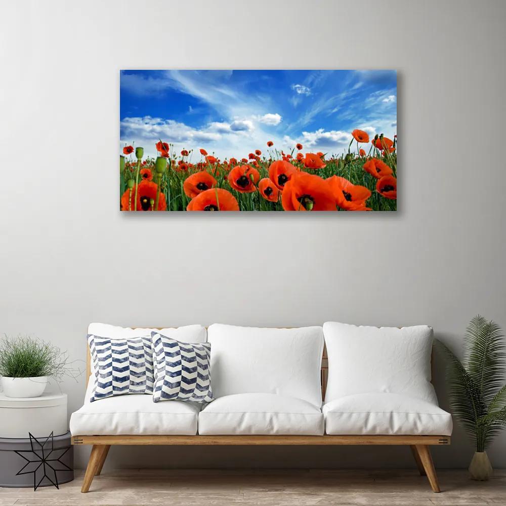 Obraz Canvas Lúka maky kvety 125x50 cm