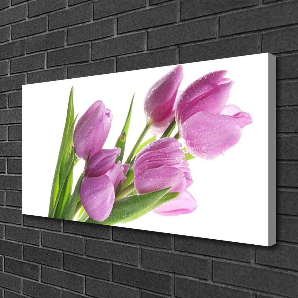 Obraz Canvas Tulipány kvety rastlina 140x70 cm