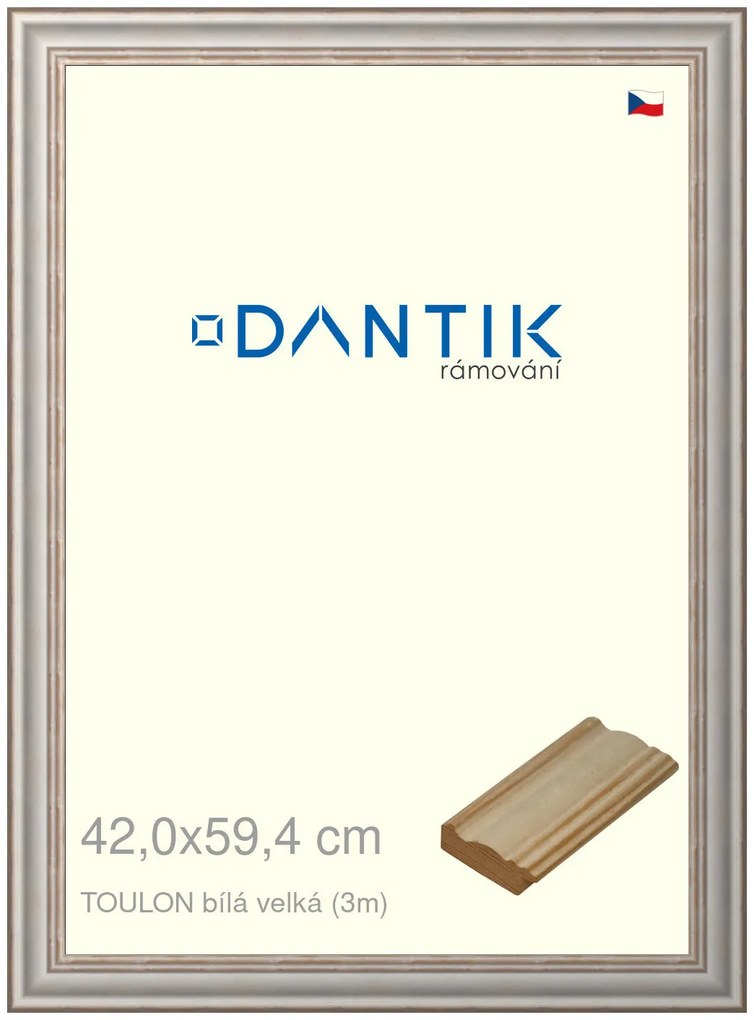 DANTIK rám na obraz 42x59,4 | TOULON bílá velká (Plexi Čiré)