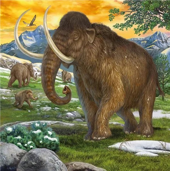 Ravensburger Puzzle Dinosaury a čas 3x49 dielikov