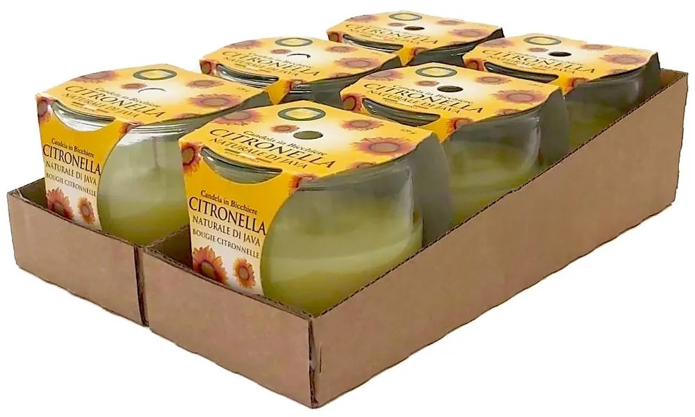 Petali Citronella vonná svíčka ve skle 6ks - hoření 25h