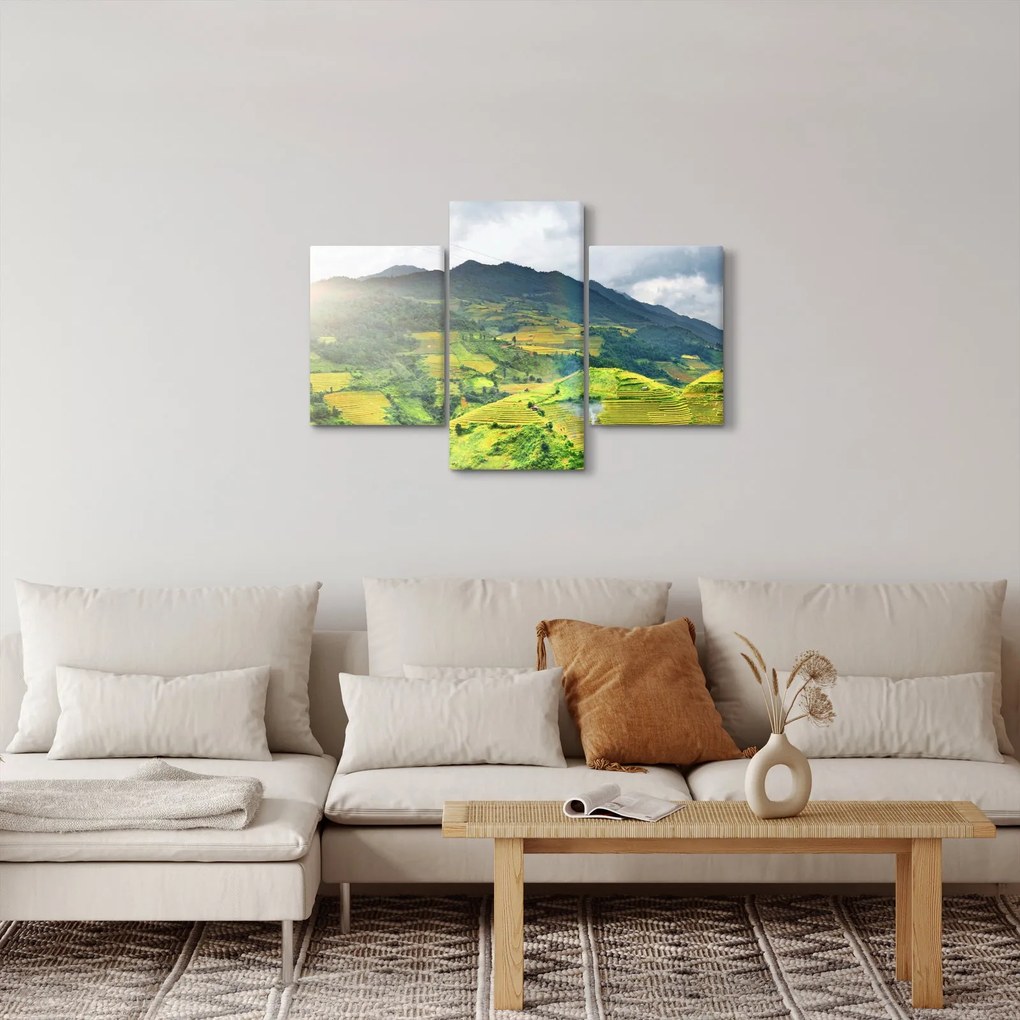 Obraz plantáže (90x60 cm)
